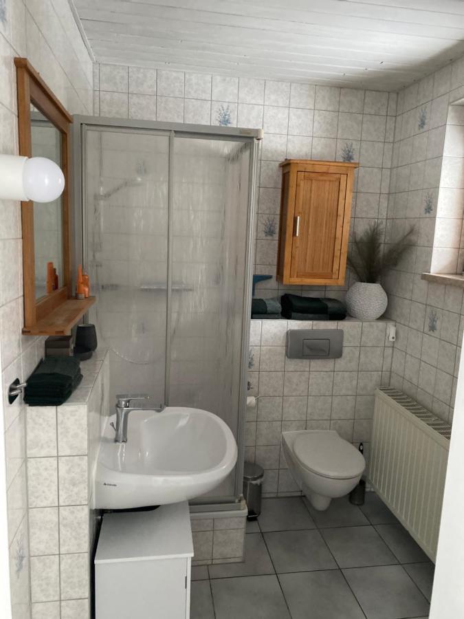 Ferienwohnung Shakira Penig Екстериор снимка